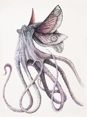 Borbolepolvo